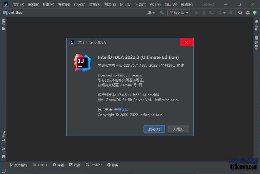 IntelliJ IDEA 2022.3.2 IDEA2022中文激活版