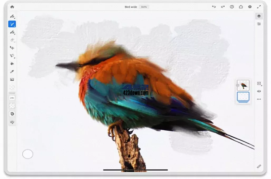 Adobe Fresco(绘图软件)v4.3.0.1156 破解版
