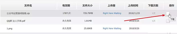 IDM2023破解版下载-IDM下载器破解版2023下载 v6.41.7中文版插图12