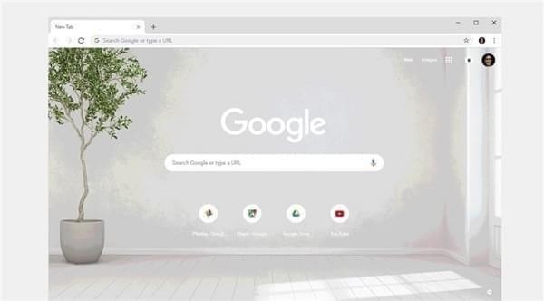 谷歌浏览器绿色版-谷歌浏览器(Google Chrome)下载 v109绿色便携版