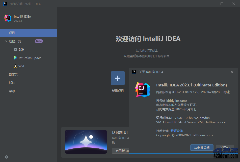 IntelliJ IDEA 2023.1.0 IDEA2023中文激活版（intellijidea2023.1.0最新稳定版）