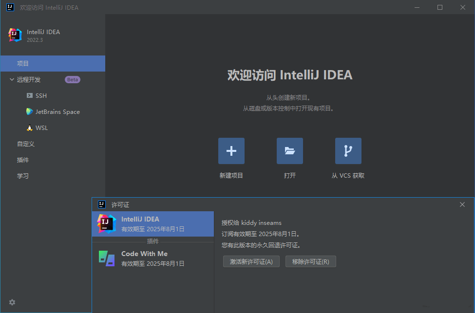 JetBrains IntelliJ IDEA 2023 v2023.1.0中文激活版