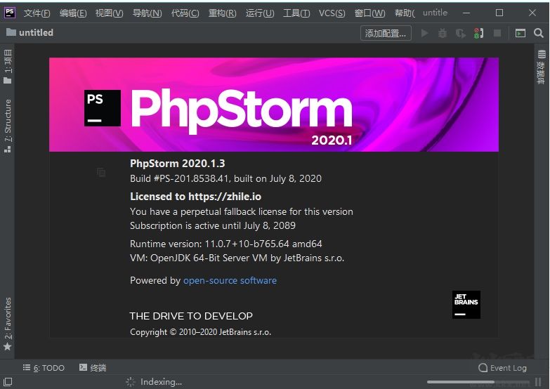 PHPSTORM 2020中文版